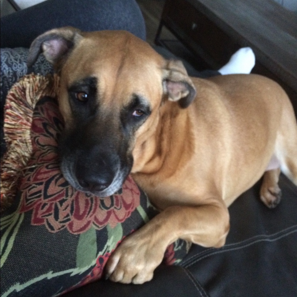 Meet your Posher, Carol